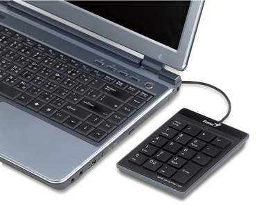 Teclado numrico Genius Numpad i110 teclas slim, USB 